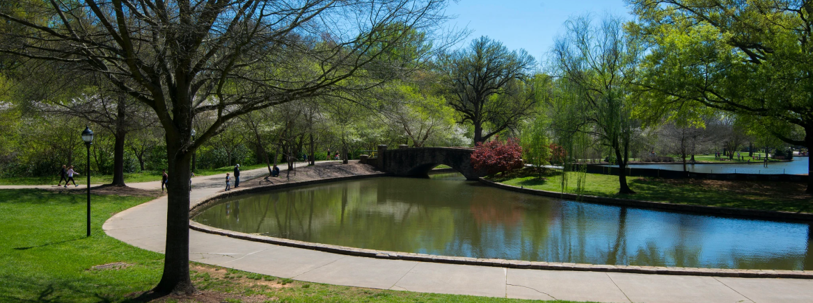 Trees and grass with a walking path and lake in the background on a sunny spring day.