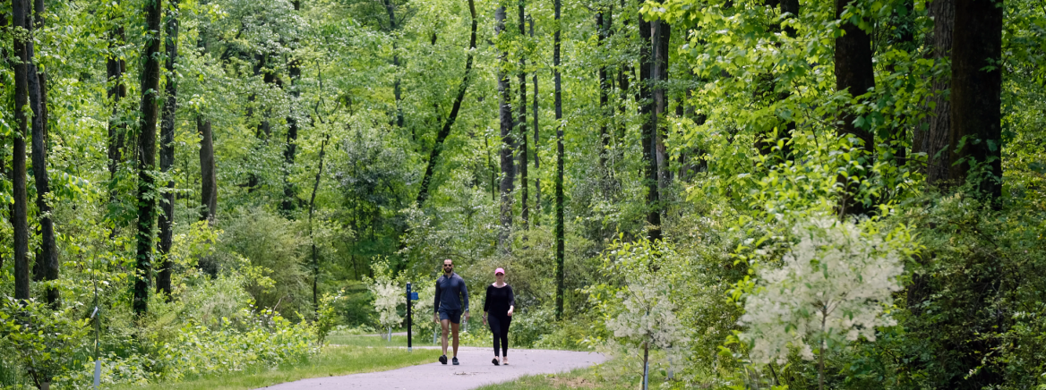 Four Mile Creek Greenway Two people walking on a greenway surrounded by trees