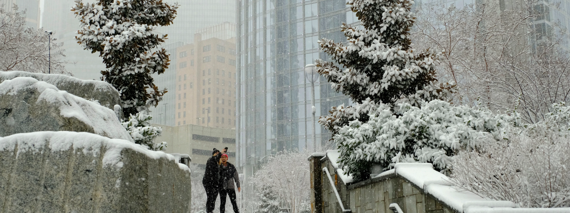 2018:01:17 January 2017 snow. Romare Bearden Park.