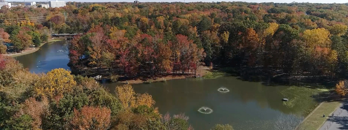 Park Road Park Aerial shot of Park Road Park
