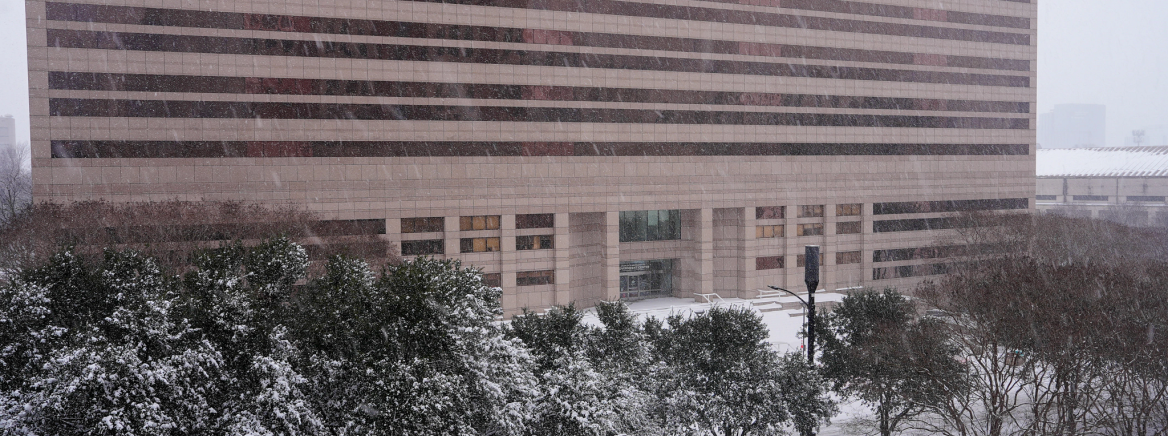 Heavy snow falls across Charlotte-Mecklenburg on Jan. 31, 2026.